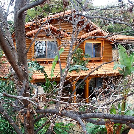 Ohn-Bar Guesthouse Amirim Bagian luar foto